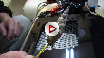 mov01a1